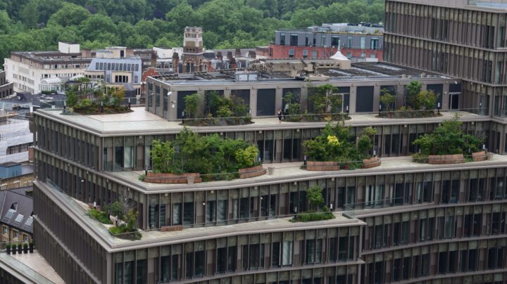 apartment block with penthouse flare and rooftop gardens