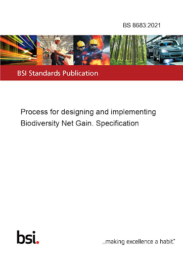 bsi diversity standards publication