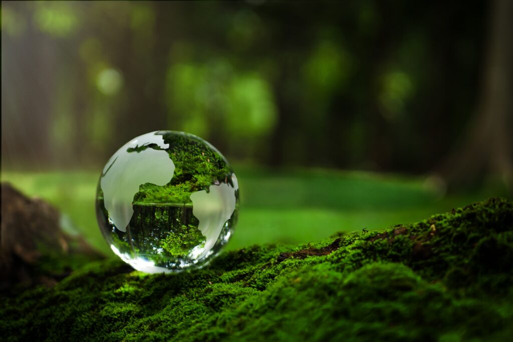 decorative background