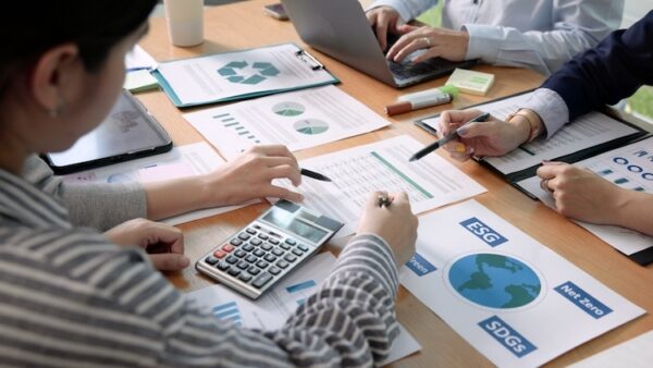 carbon offset price report co2 emission